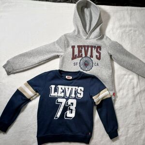 Levi's Kids Gray and Blue Hoodie and Sweatshirt Set